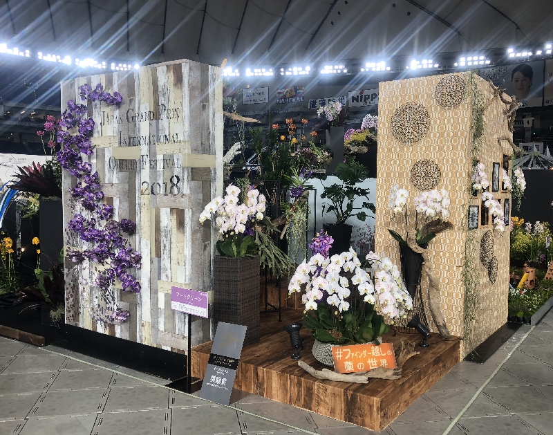 世界らん展 日本大賞2018 ディスプレイ審査部門にて『奨励賞』 受賞